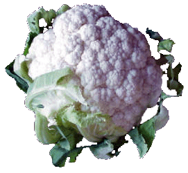 Coliflor