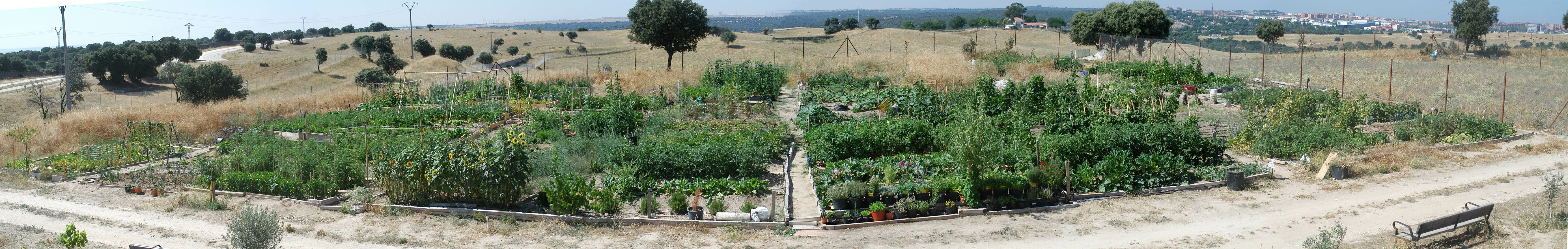 Panor&aacute;mica de los huertos