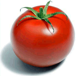 Tomate